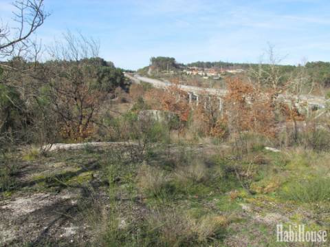 Terreno  Venda em Repeses e São Salvador,Viseu