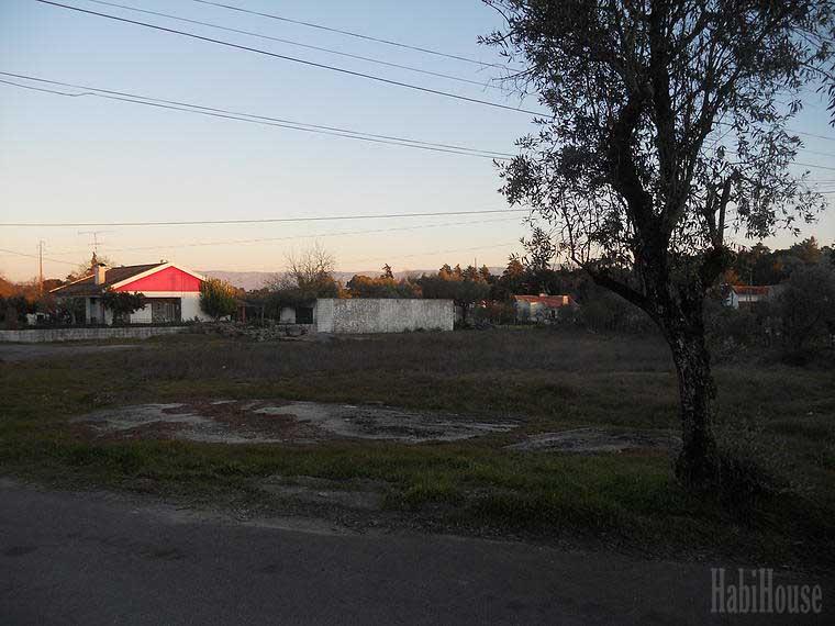 Terreno Urbano  Venda em Canas de Senhorim,Nelas