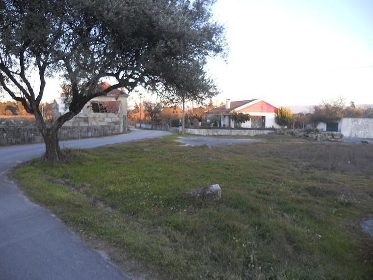 Terreno Urbano  Venda em Canas de Senhorim,Nelas