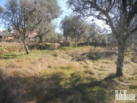 Terreno  Venda em Santar e Moreira,Nelas