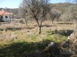 Terreno  Venda em Santar e Moreira,Nelas