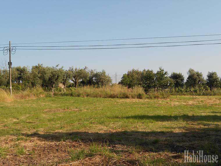 Terreno  Venda em Santar e Moreira,Nelas