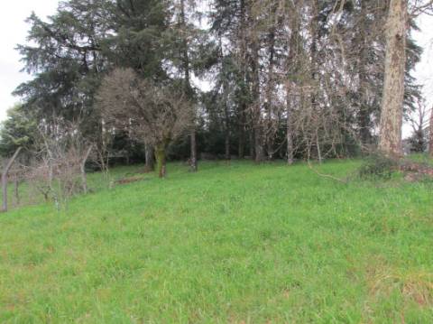 Moradia Rústica >=T10 Venda em Mamouros, Alva e Ribolhos,Castro Daire