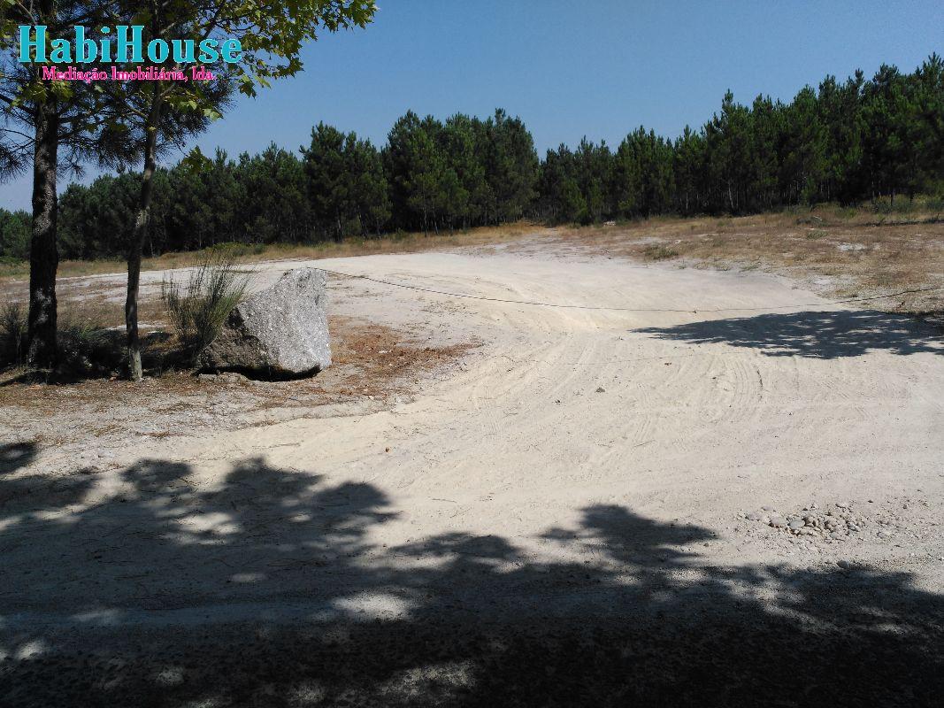 Terreno  Venda em Bodiosa,Viseu