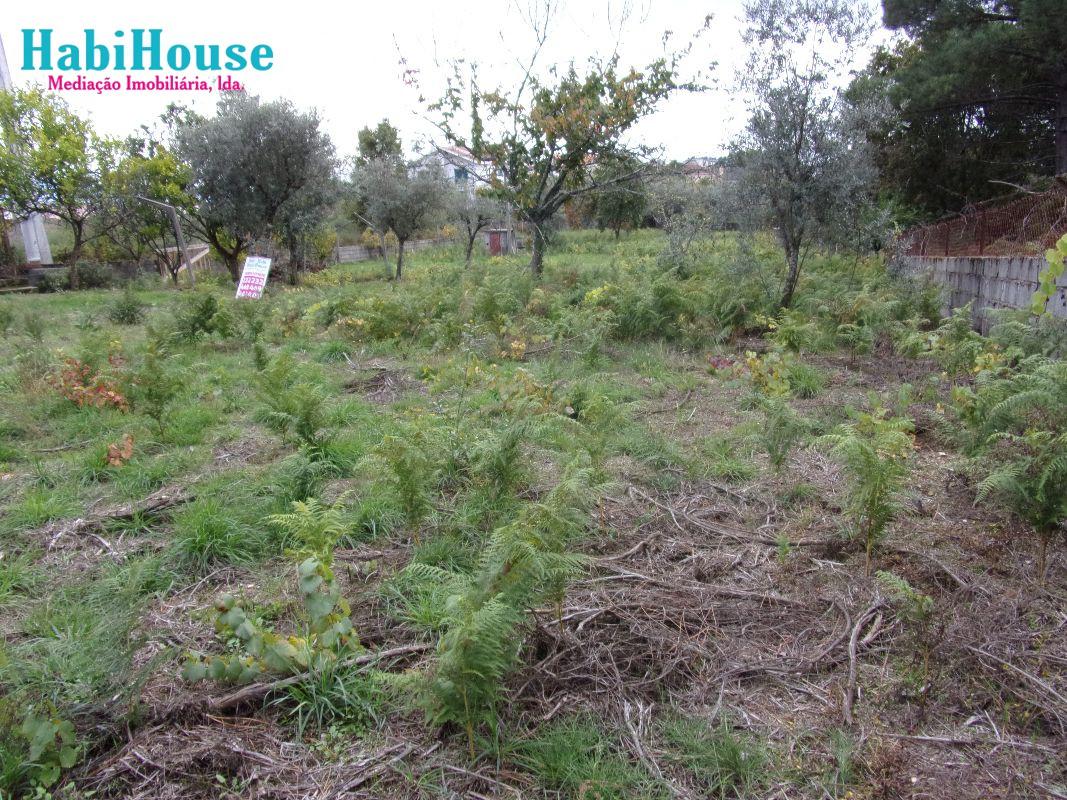 Terreno  Venda em Repeses e São Salvador,Viseu