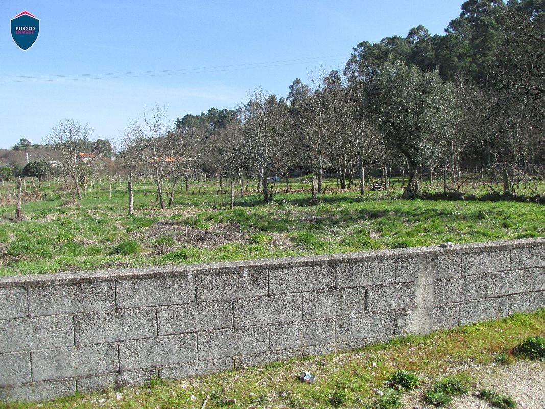 Terreno  Venda em Orgens,Viseu