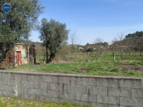 Terreno  Venda em Orgens,Viseu