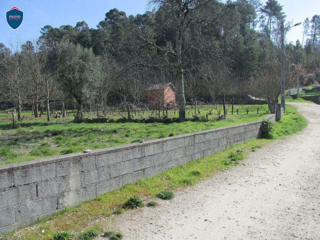 Terreno  Venda em Orgens,Viseu