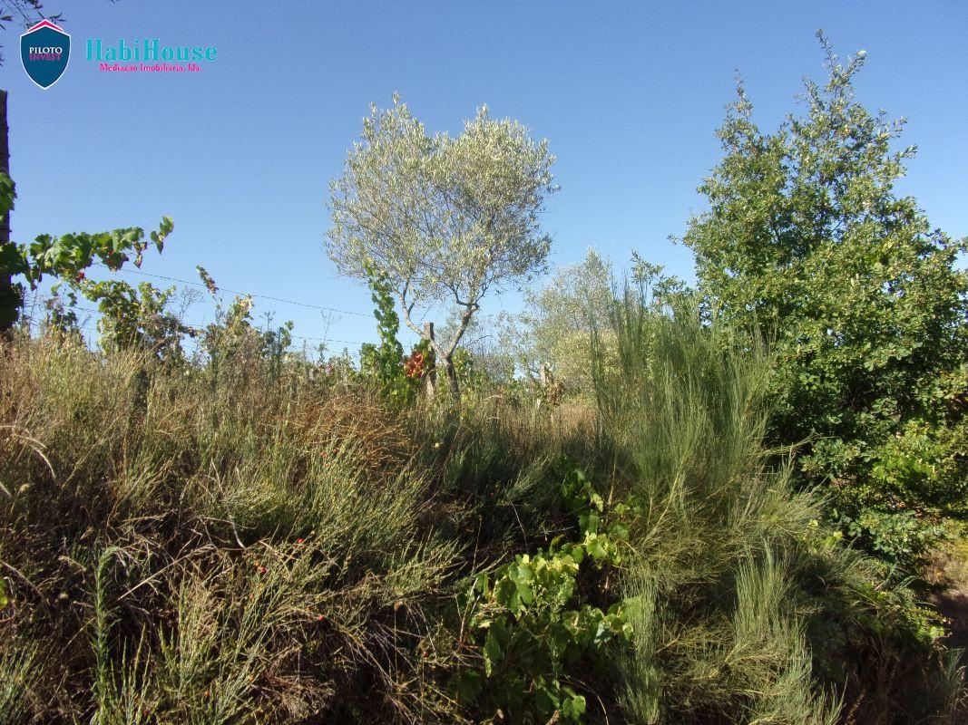 Terreno Misto  Venda em Fragosela,Viseu