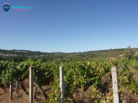 Terreno Misto  Venda em Fragosela,Viseu