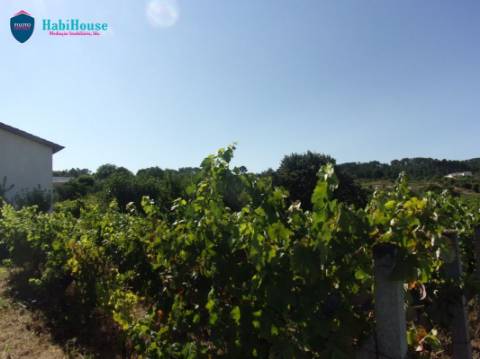 Terreno Misto  Venda em Fragosela,Viseu