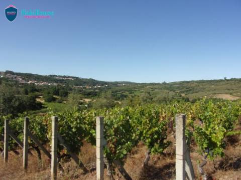 Terreno Misto  Venda em Fragosela,Viseu