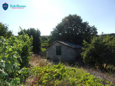 Terreno Misto  Venda em Fragosela,Viseu