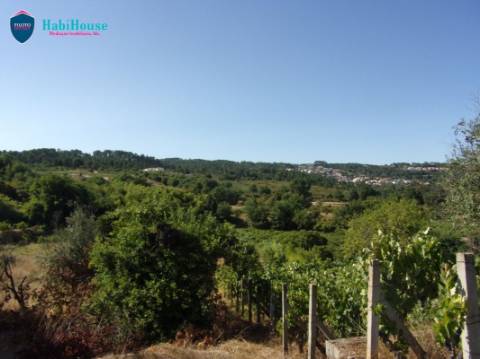 Terreno Misto  Venda em Fragosela,Viseu