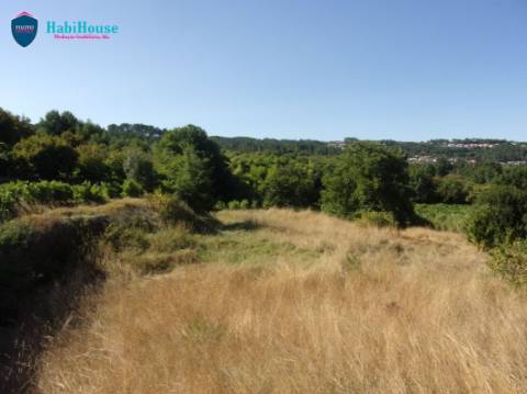 Terreno Misto  Venda em Fragosela,Viseu