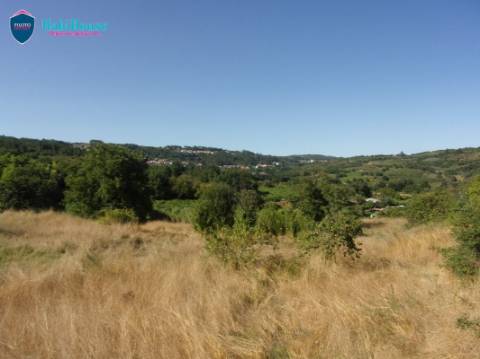Terreno Misto  Venda em Fragosela,Viseu
