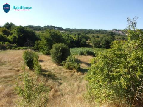 Terreno Misto  Venda em Fragosela,Viseu