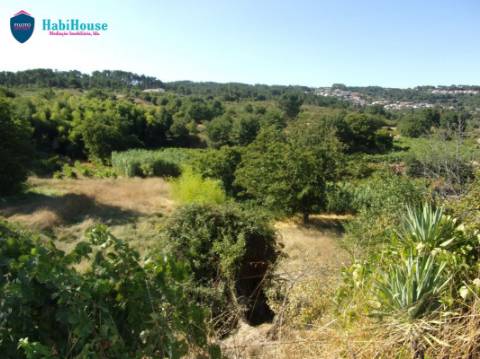Terreno Misto  Venda em Fragosela,Viseu