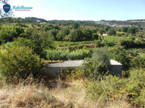 Terreno Misto  Venda em Fragosela,Viseu