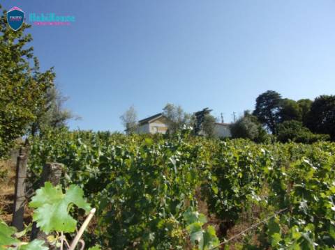 Terreno Misto  Venda em Fragosela,Viseu