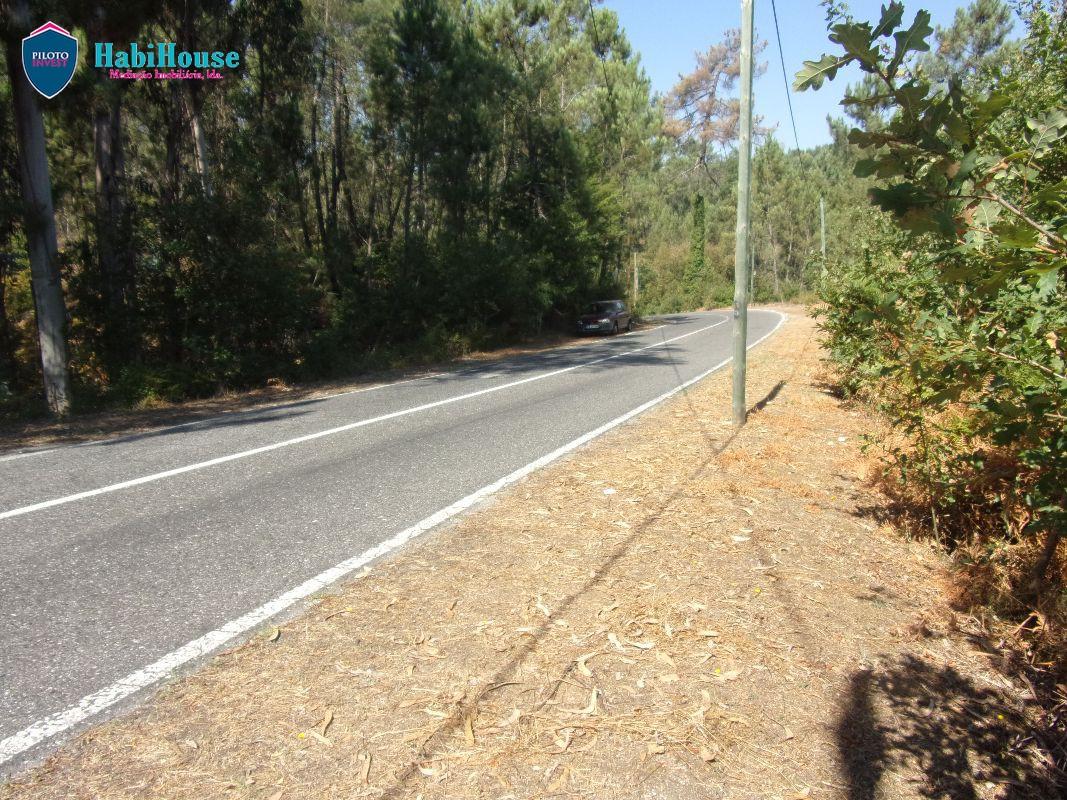 Terreno  Venda em Faíl e Vila Chã de Sá,Viseu