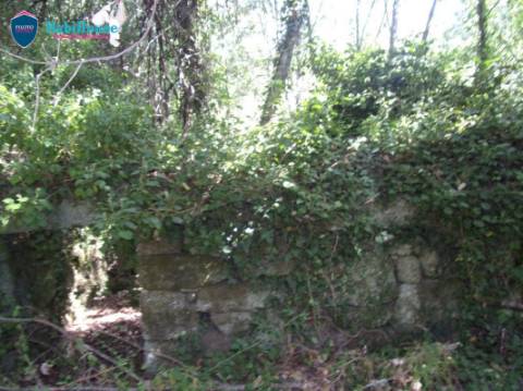 Terreno  Venda em Faíl e Vila Chã de Sá,Viseu