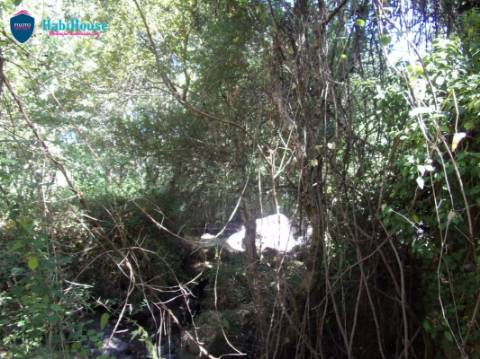 Terreno  Venda em Faíl e Vila Chã de Sá,Viseu