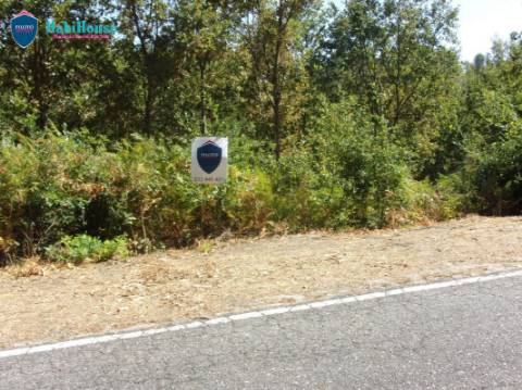 Terreno  Venda em Faíl e Vila Chã de Sá,Viseu