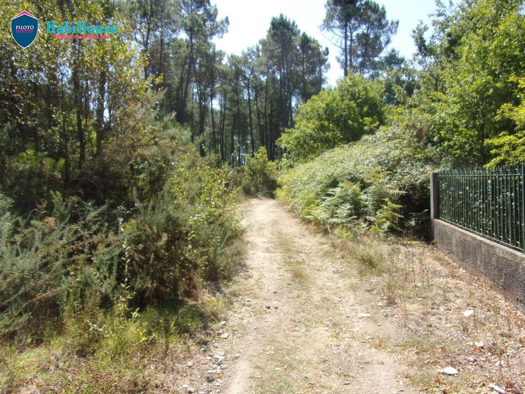 Terreno  Venda em Campo,Viseu