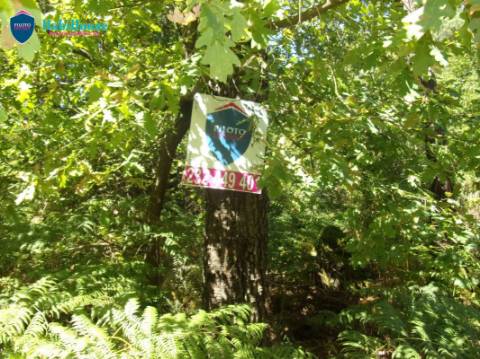 Terreno  Venda em Campo,Viseu