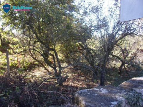 Quinta T4 Venda em São Pedro do Sul, Várzea e Baiões,São Pedro do Sul