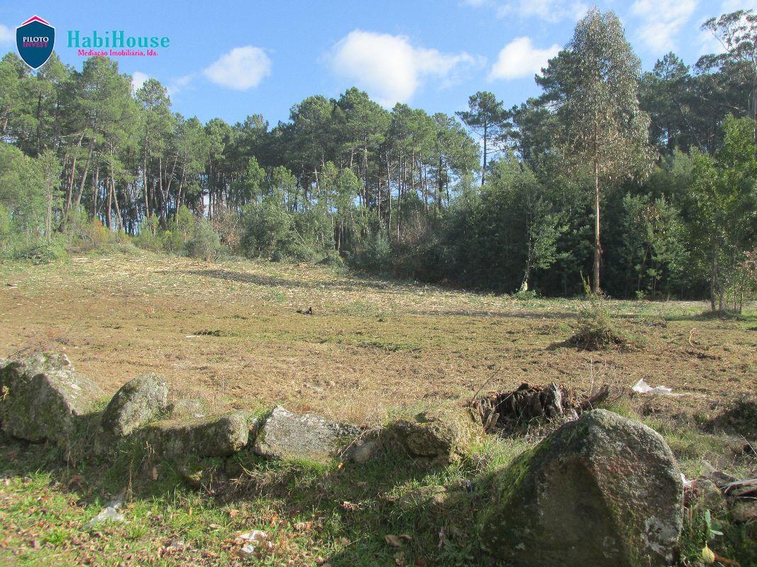 Terreno  Venda em Rio de Loba,Viseu