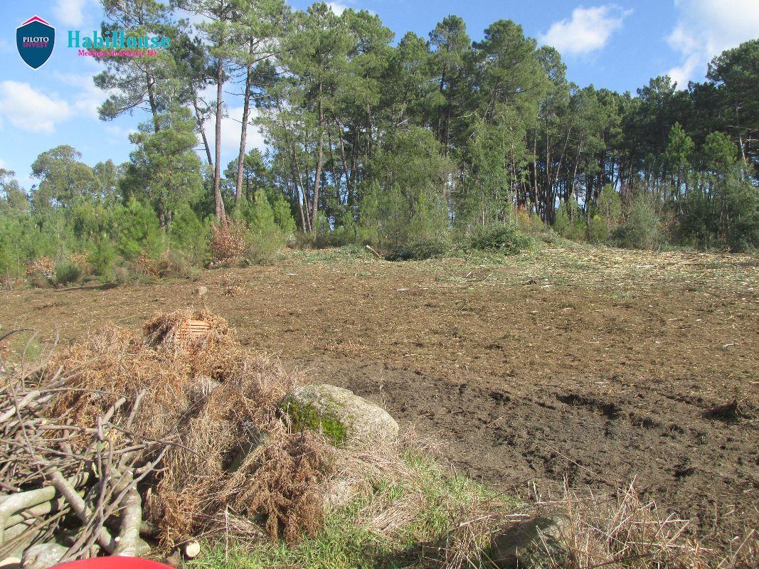 Terreno  Venda em Rio de Loba,Viseu