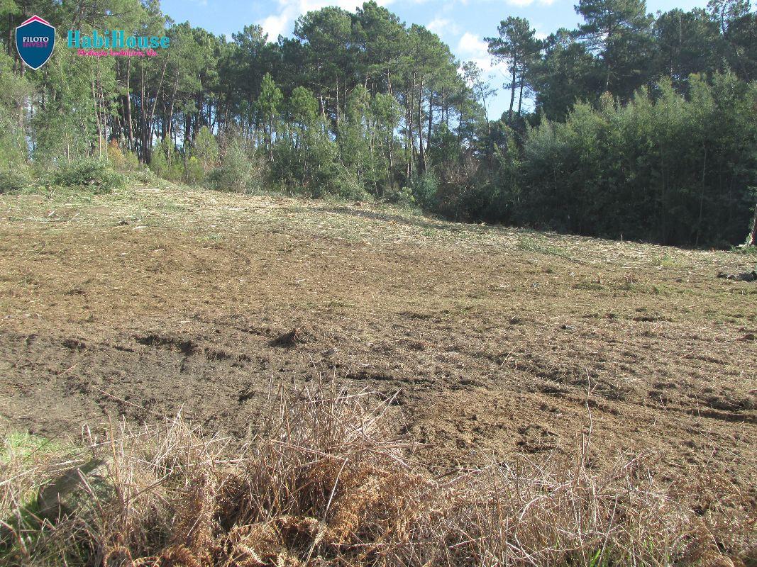 Terreno  Venda em Rio de Loba,Viseu