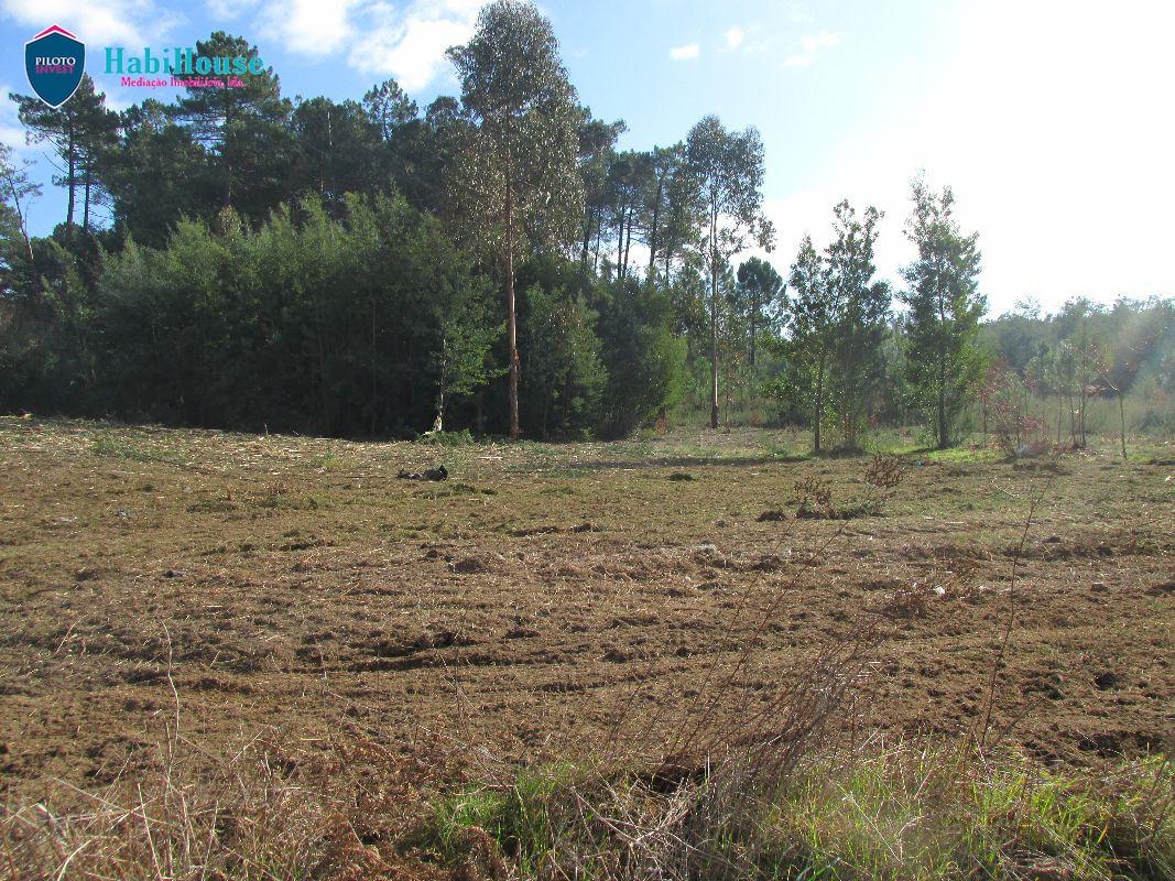 Terreno  Venda em Rio de Loba,Viseu