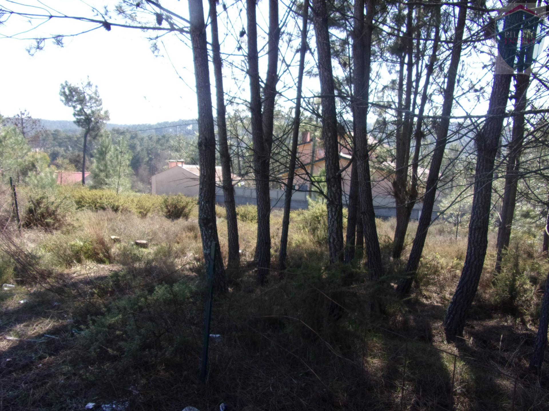 Terreno  Venda em Calde,Viseu