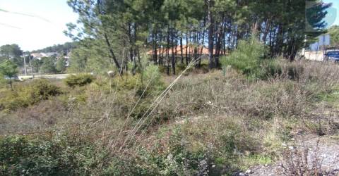 Terreno  Venda em Calde,Viseu