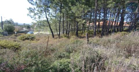 Terreno  Venda em Calde,Viseu