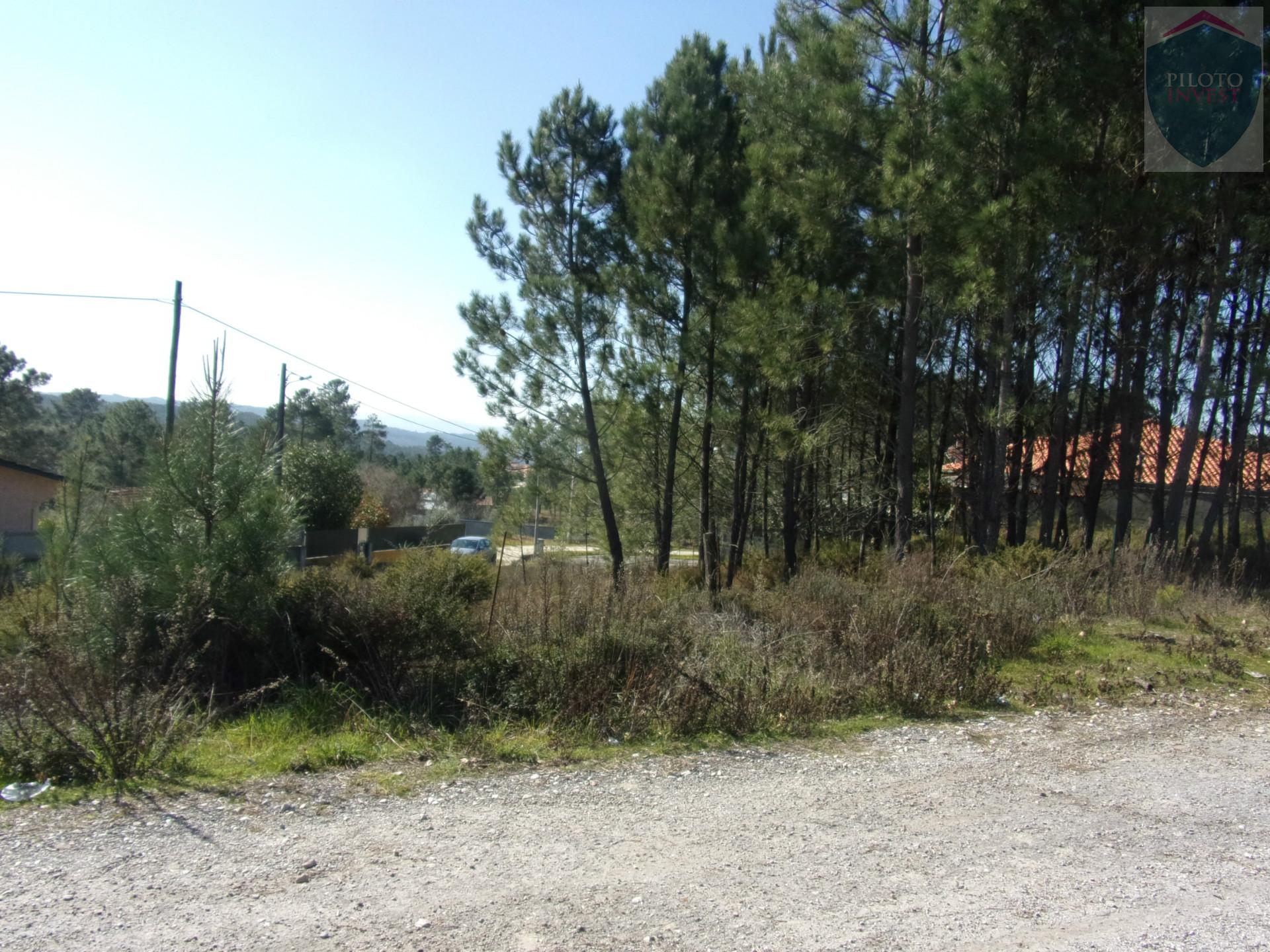 Terreno  Venda em Calde,Viseu