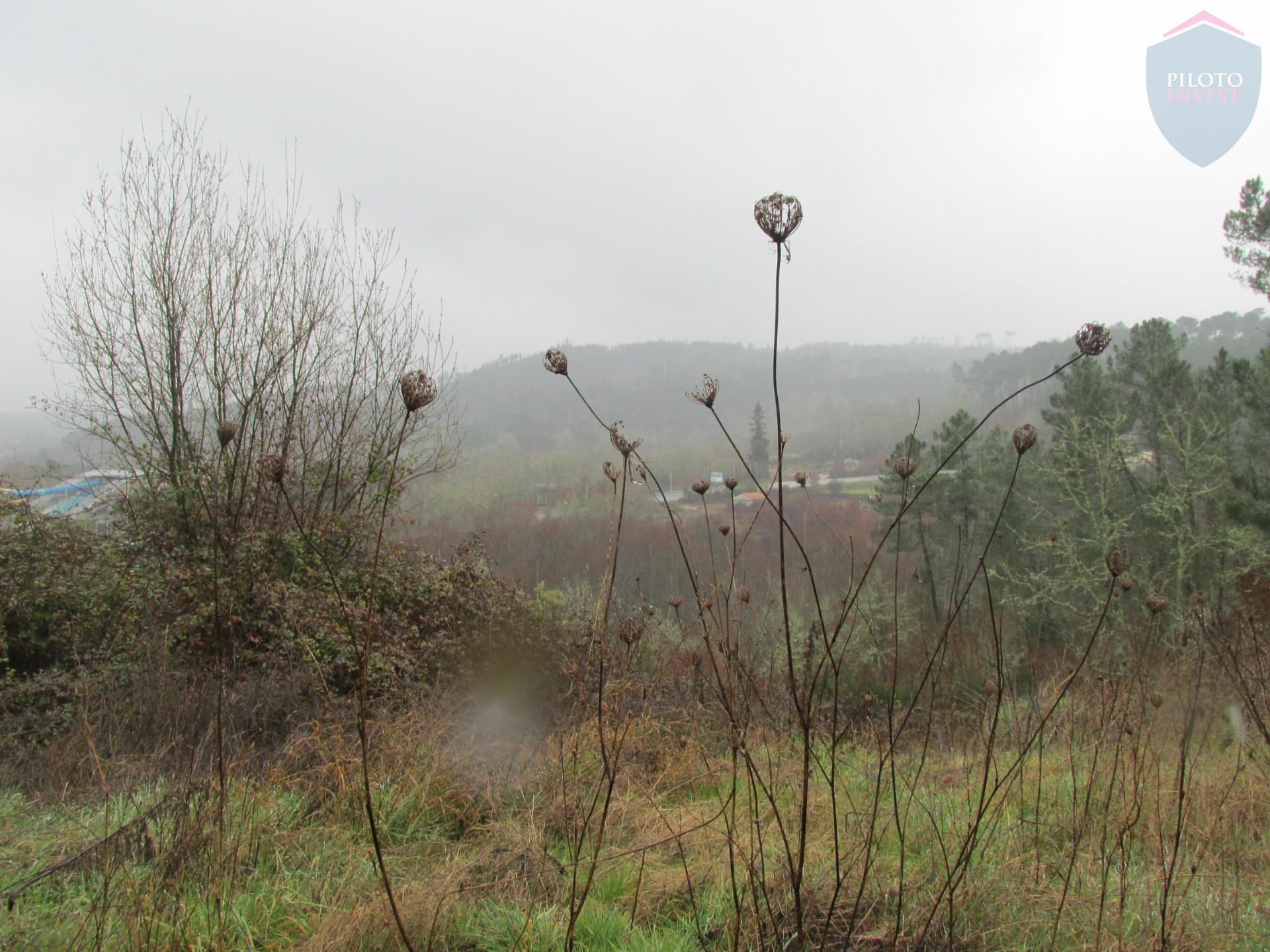 Terreno  Venda em Calde,Viseu