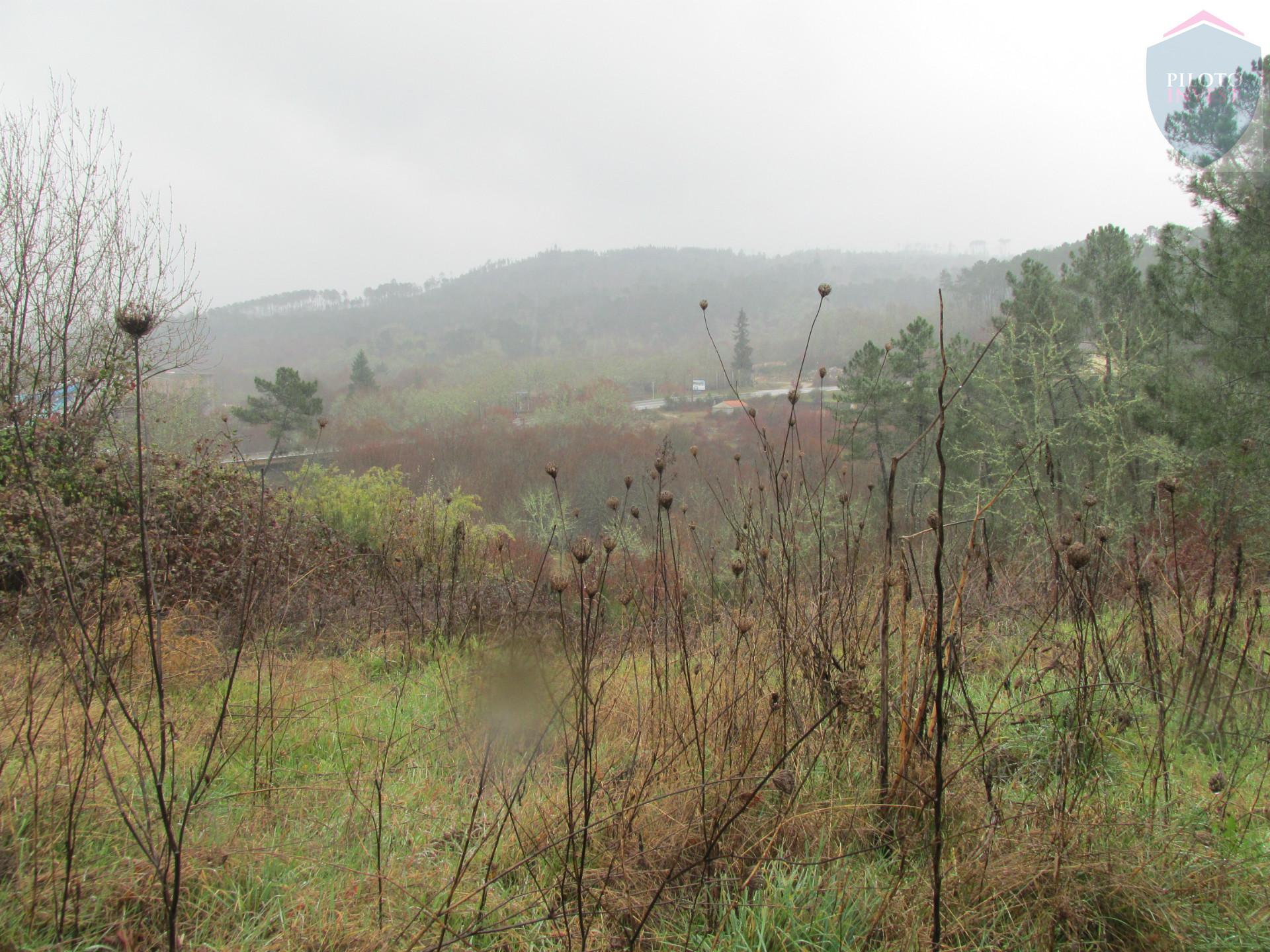 Terreno  Venda em Calde,Viseu