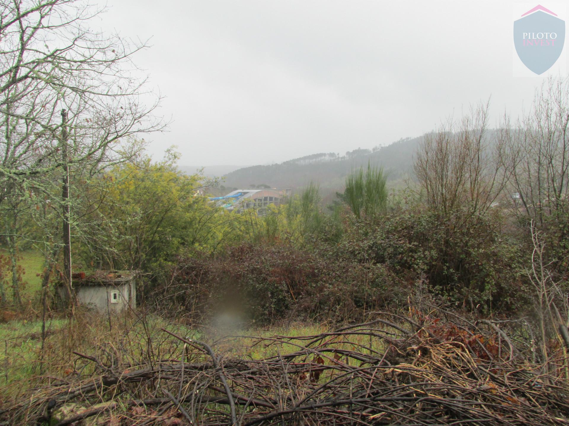 Terreno  Venda em Calde,Viseu