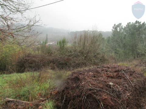 Terreno  Venda em Calde,Viseu