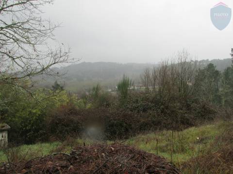 Terreno  Venda em Calde,Viseu