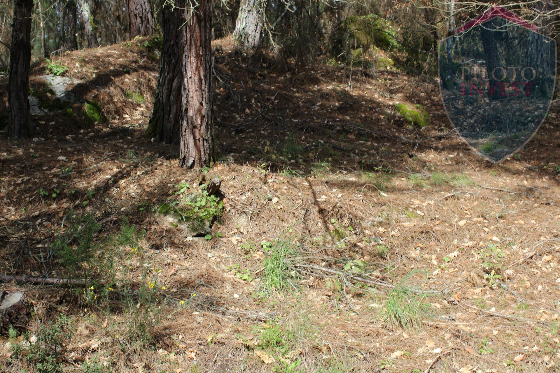 Terreno Para Construção  Venda em Santos Evos,Viseu