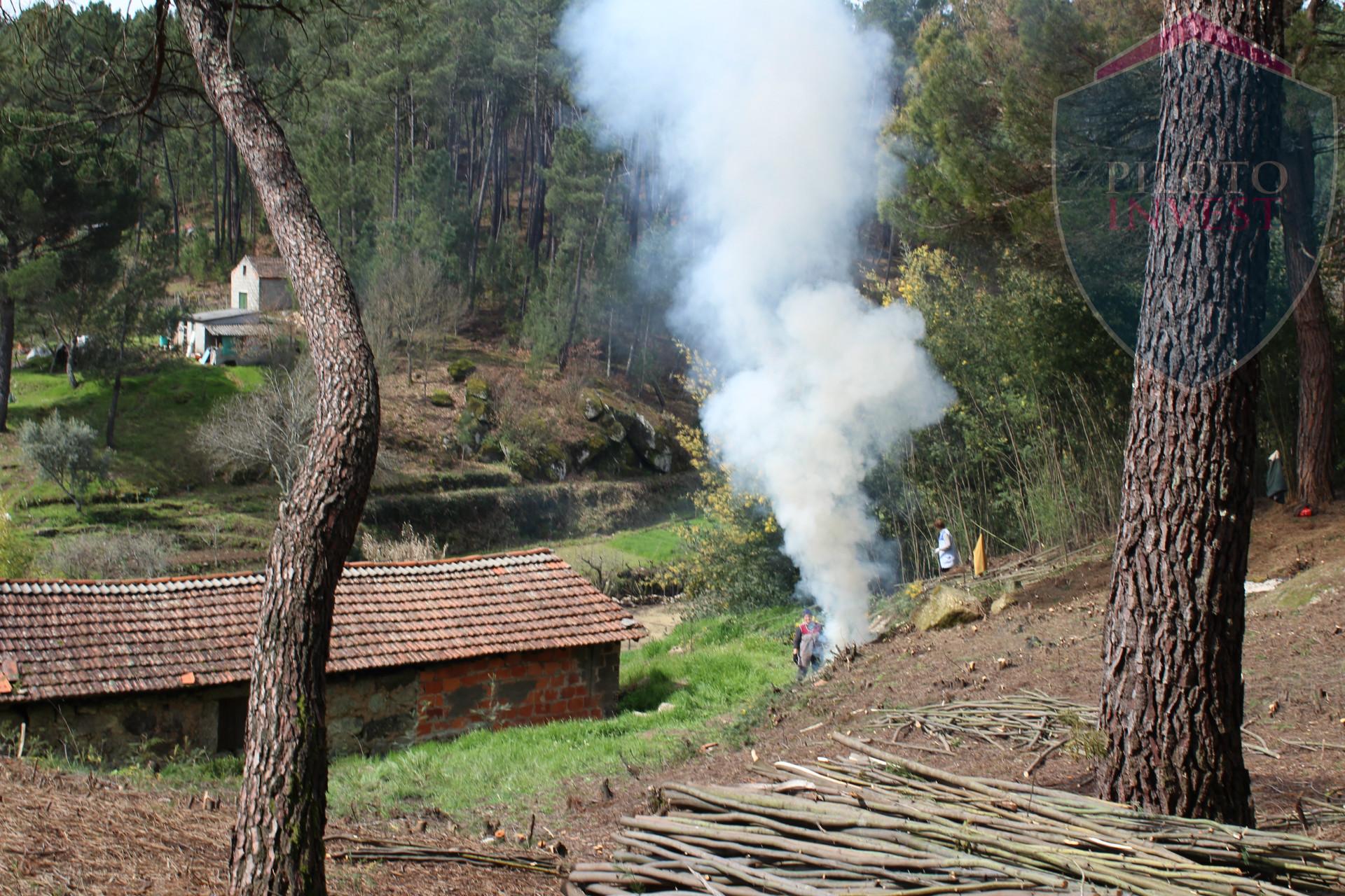 Terreno Para Construção  Venda em Santos Evos,Viseu