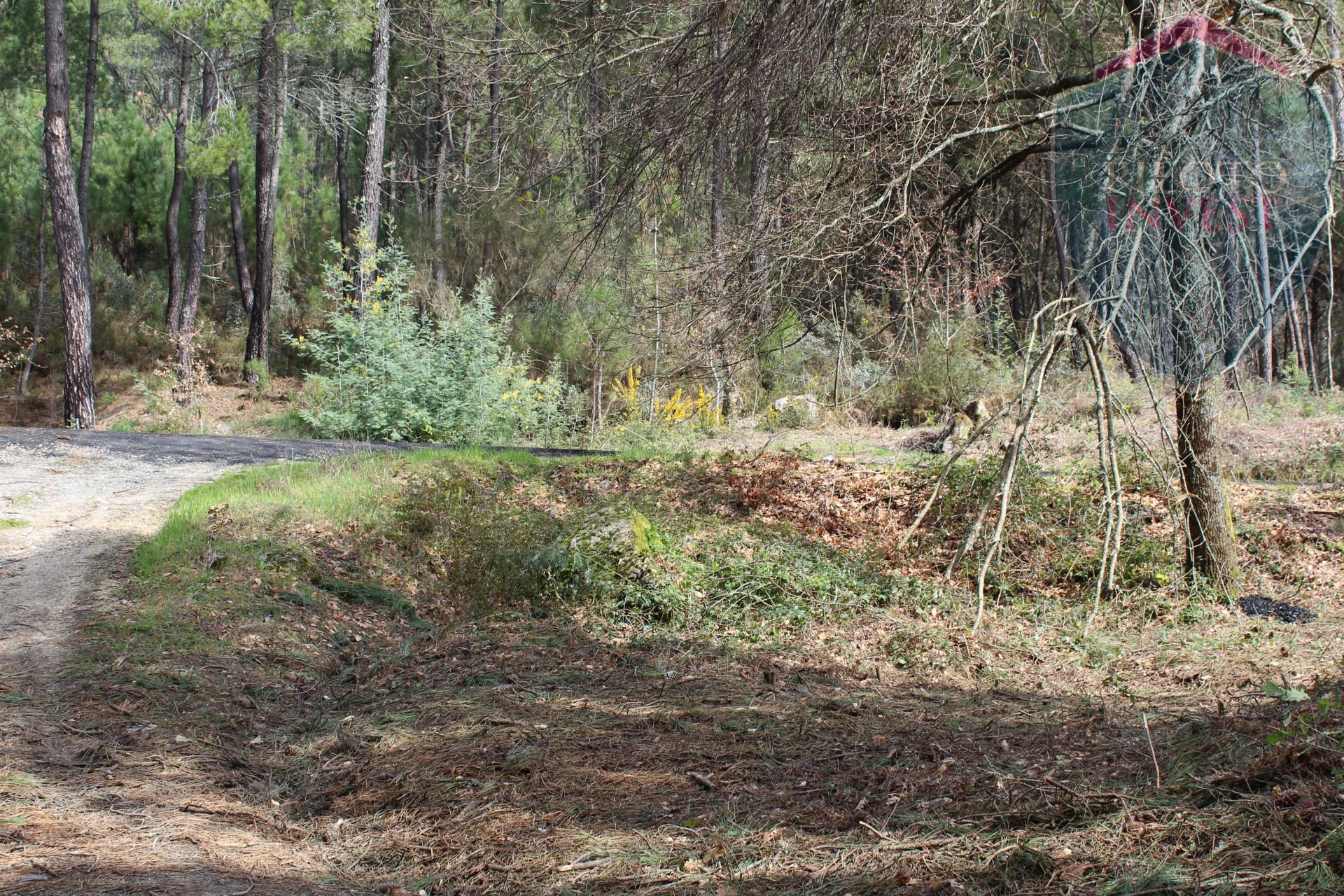 Terreno Para Construção  Venda em Santos Evos,Viseu