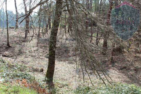Terreno Para Construção  Venda em Santos Evos,Viseu