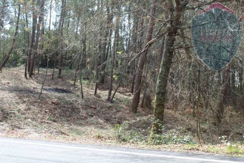 Terreno Para Construção  Venda em Santos Evos,Viseu