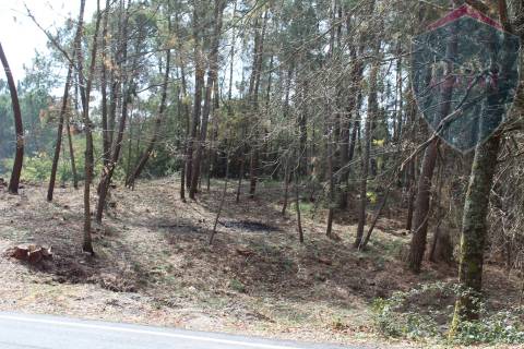 Terreno Para Construção  Venda em Santos Evos,Viseu